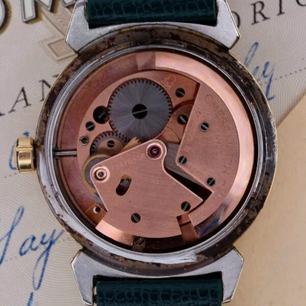 Close-up of an Omega Seamaster Bull Horn Lug watch movement, showcasing visible gears and copper components against an old document backdrop. A touch of the green strap, echoing the Bull Horn design lineage, is partially seen.