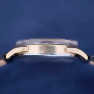 Side view of a Benrus Day/Date Pointer wristwatch case featuring a gold-colored metal frame and lugs against a blue background. The watch face and band are artfully concealed.