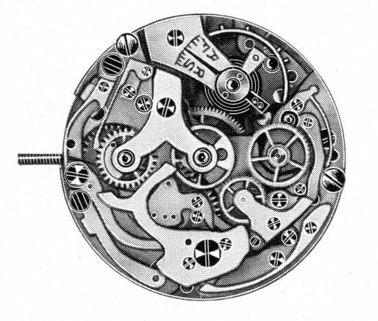 Detailed black and white illustration of mechanical watch gears and inner components.