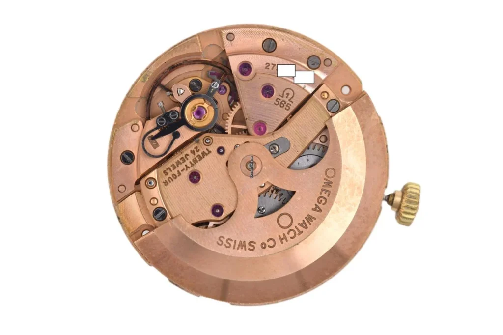 34932837 5d2nfxwgwmwypo206j5rbzi4 ExtraLarge.jpg