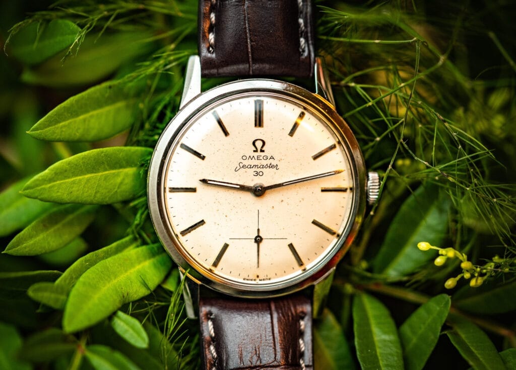 A vintage Seamaster 30 watch with a brown leather strap rests elegantly on green leaves.