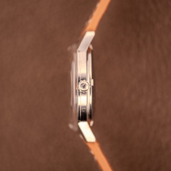 Omega Seamaster 166.002 case side macro showing crown side, polished bevels and lug profile