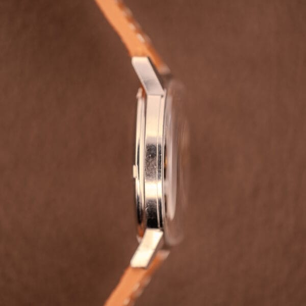Omega Seamaster 166.002 case side macro from the opposite flank showing case construction and lug bevels