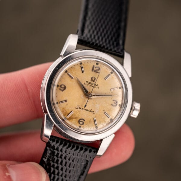 Omega Seamaster 2828 wrist-held view with tropical dial in natural light
