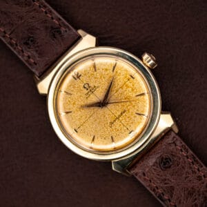 Omega Seamaster 14363-3 tropical dial in gold-capped case on chocolate ostrich strap, three-quarter view