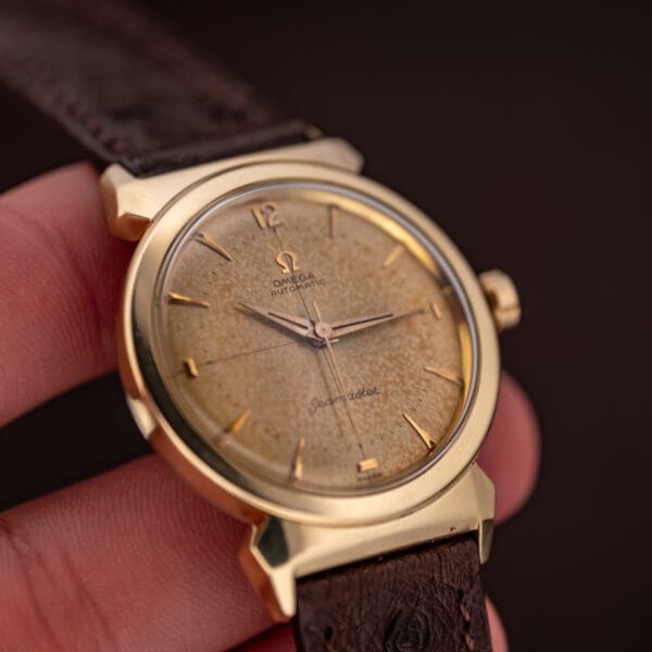 Omega Seamaster 14363-3 in hand showing tropical dial, gold-capped case, and brown ostrich strap