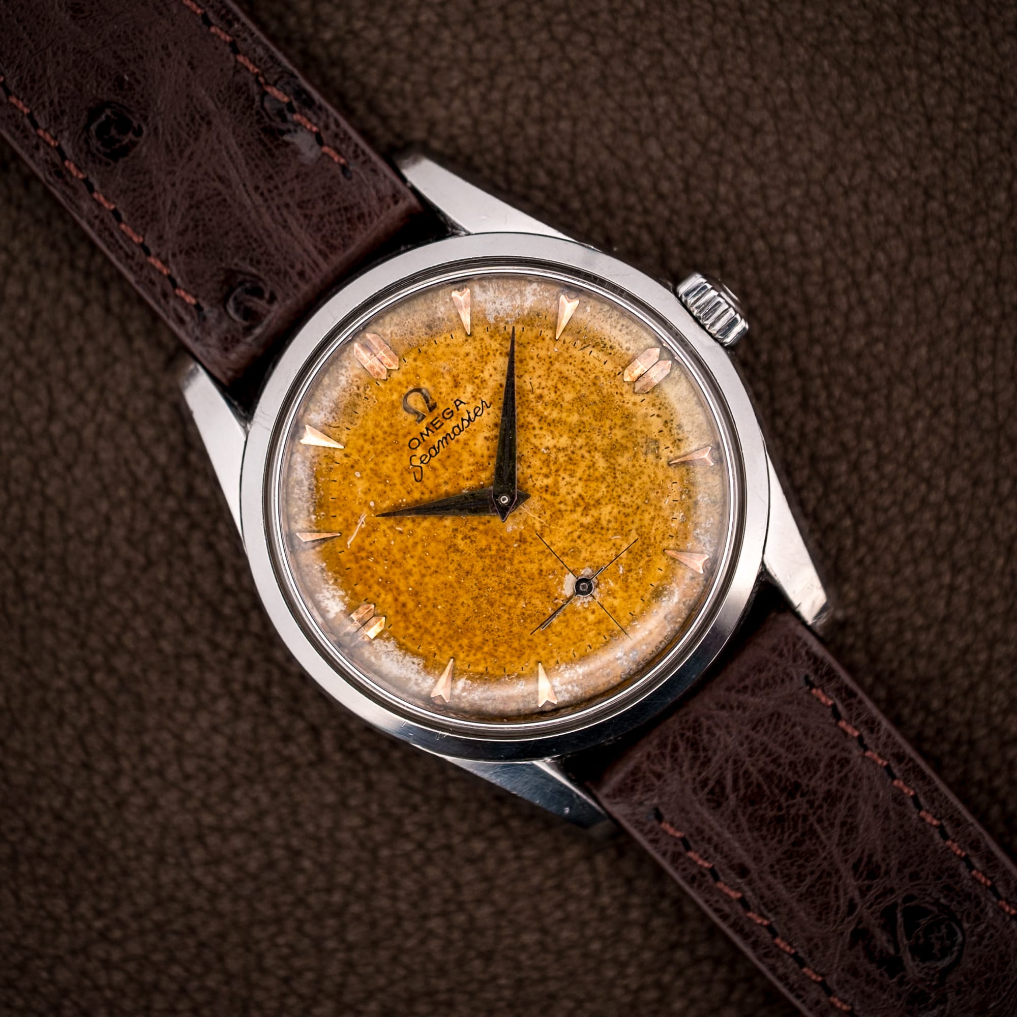 DSCF5084 Omega Seamaster 2937-5 tropical dial with honey-to-cream freckled patina on a choco brown ostrich strap