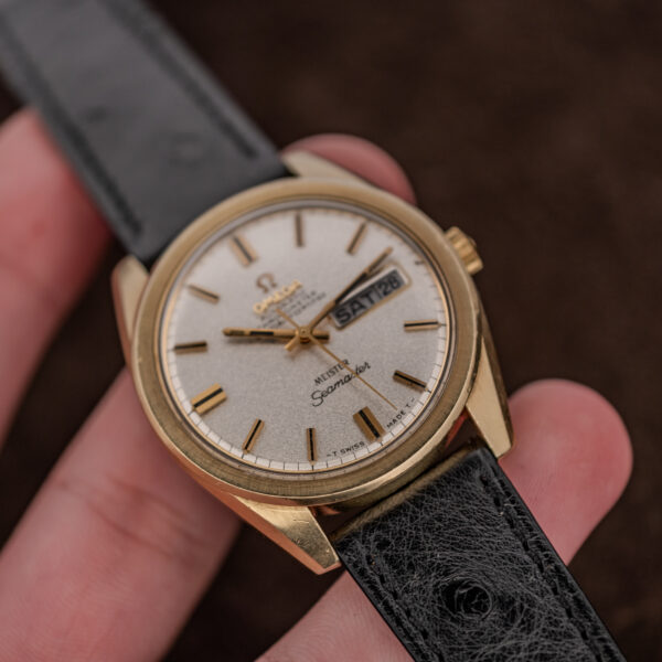 Omega Seamaster Meister held in hand, showing textured dial, gold-toned lugs and black ostrich strap